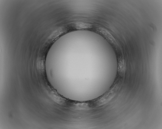 X0000111460426200907271255