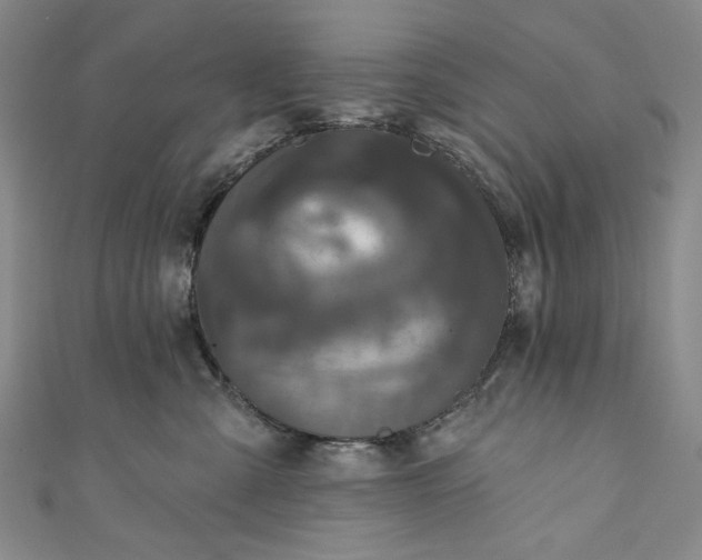 X0000111460427200907271255