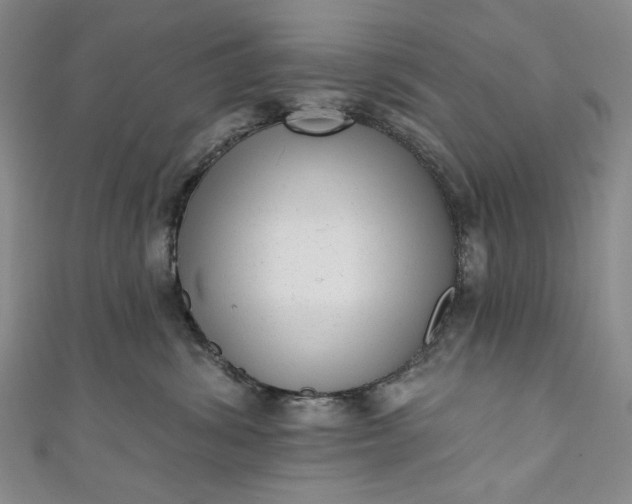 X0000111460428200907271255