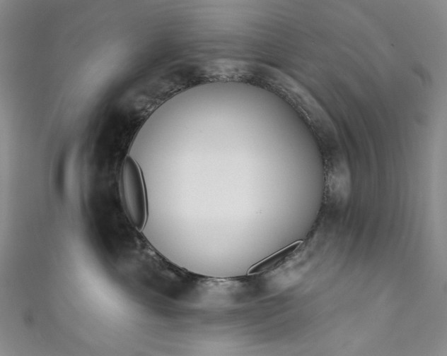 X0000111460429200907271255