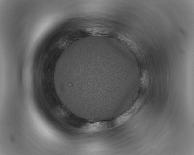 X0000111460430200907271255