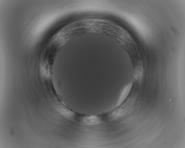 X0000111460431200907271255