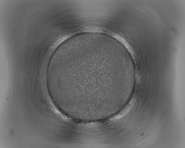 X0000111460433200907271254