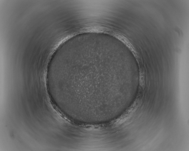 X0000111460434200907271254