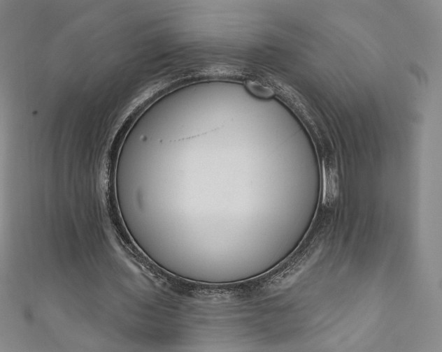 X0000111460435200907271254