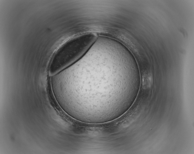 X0000111460436200907271254