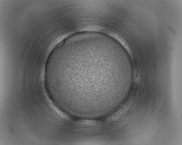 X0000111460437200907271254