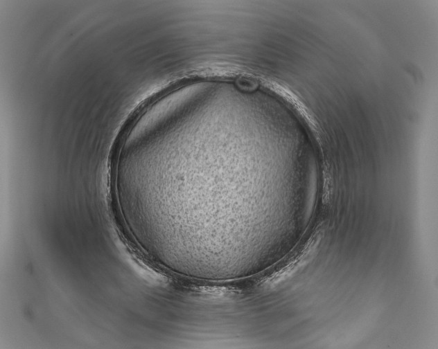 X0000111460439200907271254