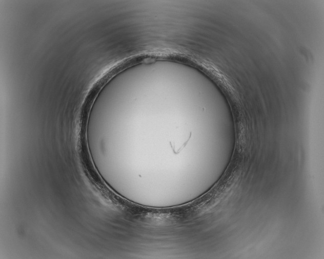 X0000111460440200907271254