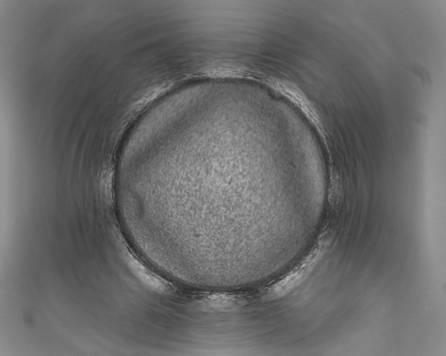 X0000111460441200907271254