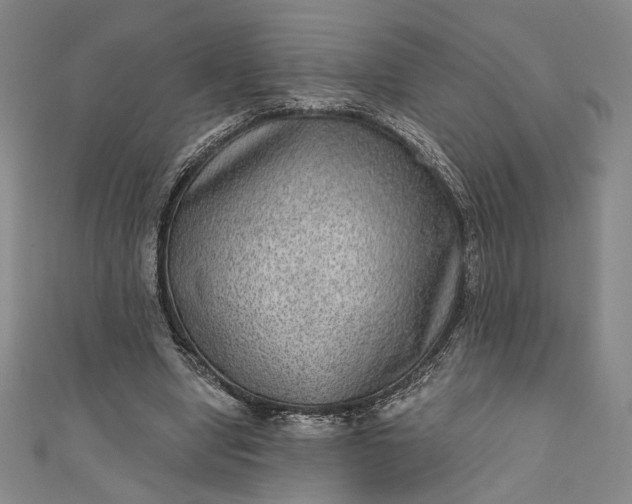 X0000111460442200907271254