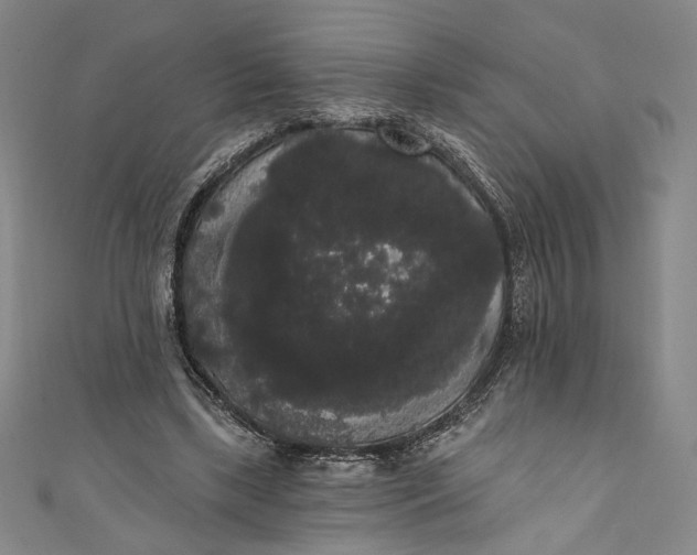 X0000111460443200907271254