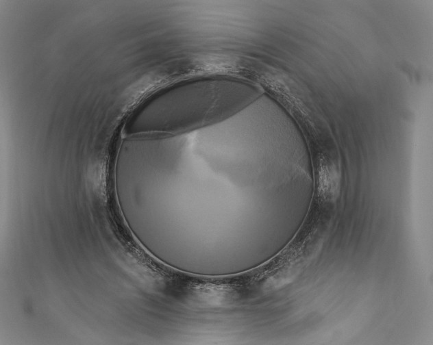 X0000111460444200907271254