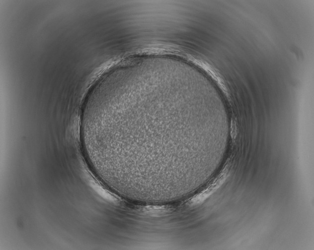 X0000111460445200907271254