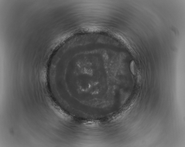 X0000111460447200907271254