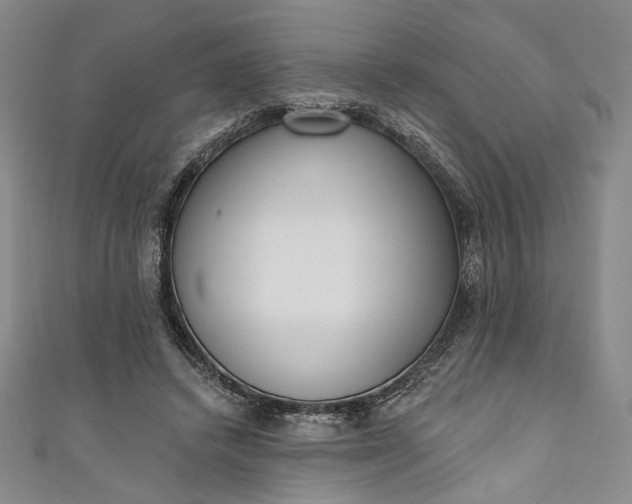 X0000111460448200907271254