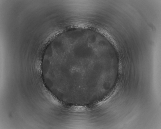 X0000111460449200907271254