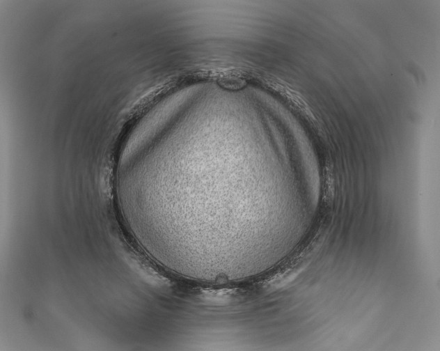 X0000111460450200907271254