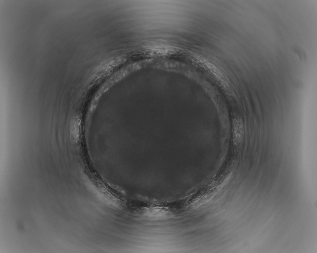 X0000111460451200907271254