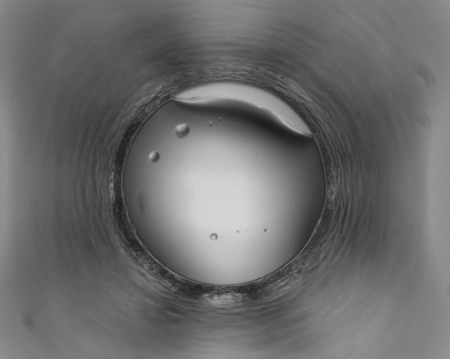 X0000111460452200907271254