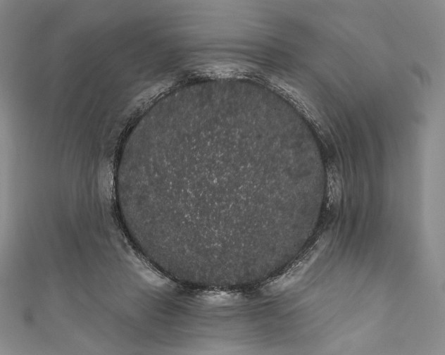 X0000111460453200907271254