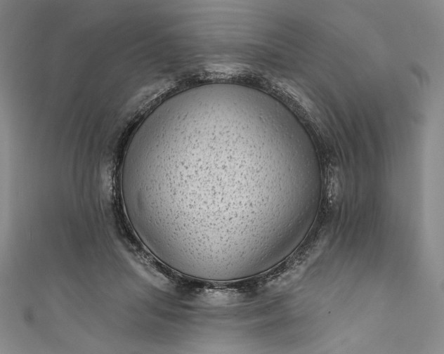 X0000111460455200907271255