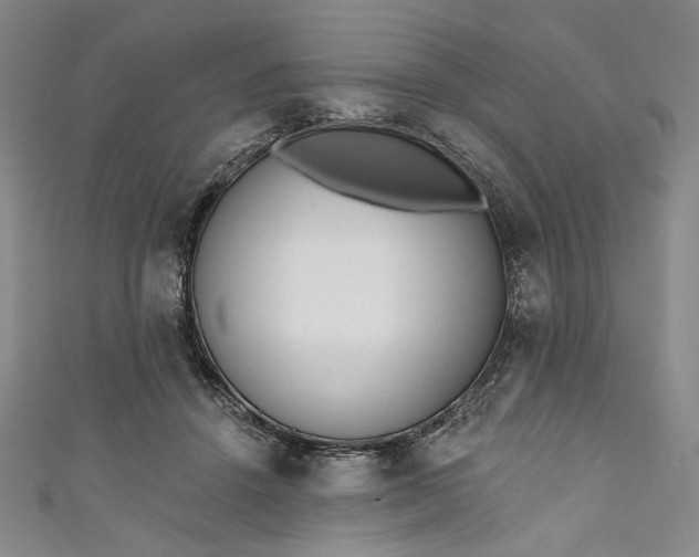 X0000111460456200907271255