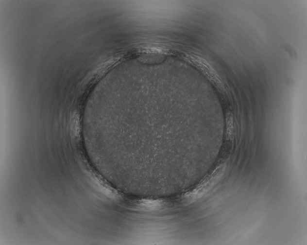 X0000111460457200907271255