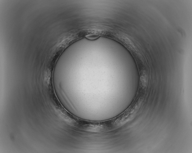 X0000111460458200907271255