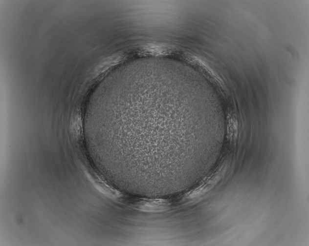 X0000111460459200907271255