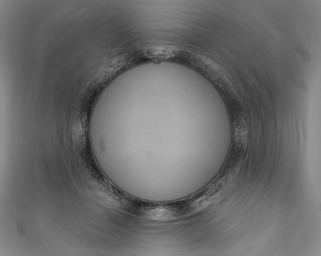 X0000111460460200907271255