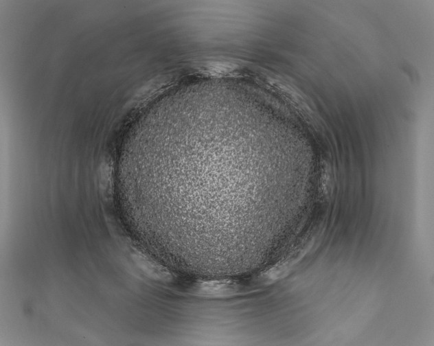 X0000111460461200907271255