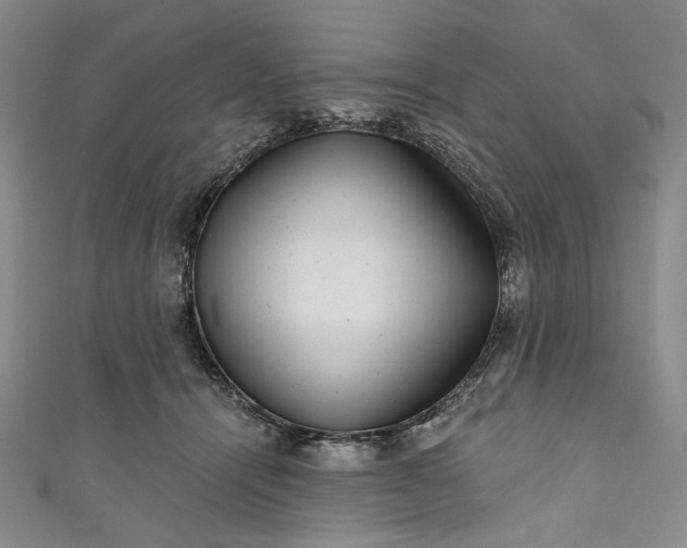 X0000111460464200907271255