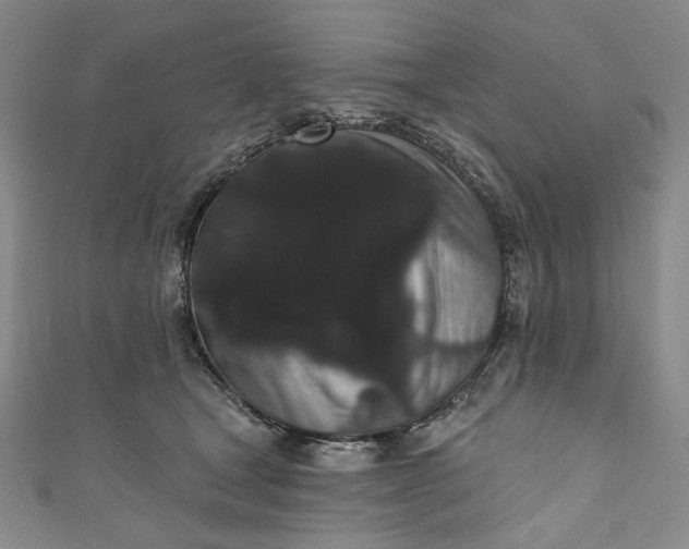 X0000111460465200907271255