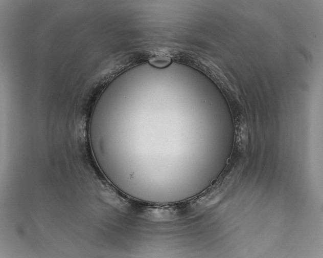 X0000111460466200907271255