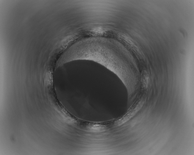 X0000111460467200907271255