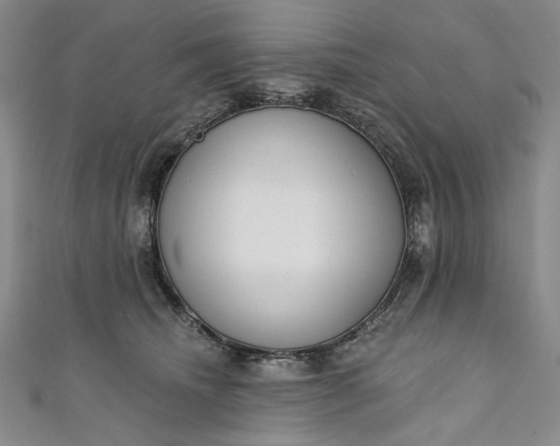 X0000111460468200907271255