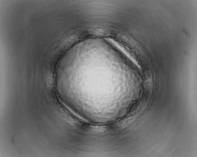 X0000111460469200907271255