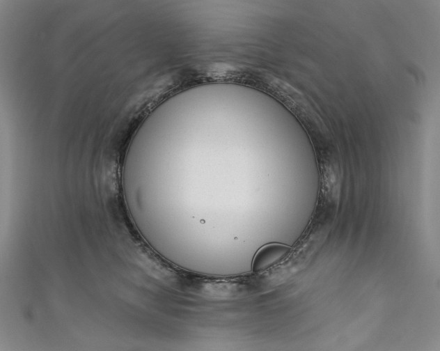 X0000111460470200907271255