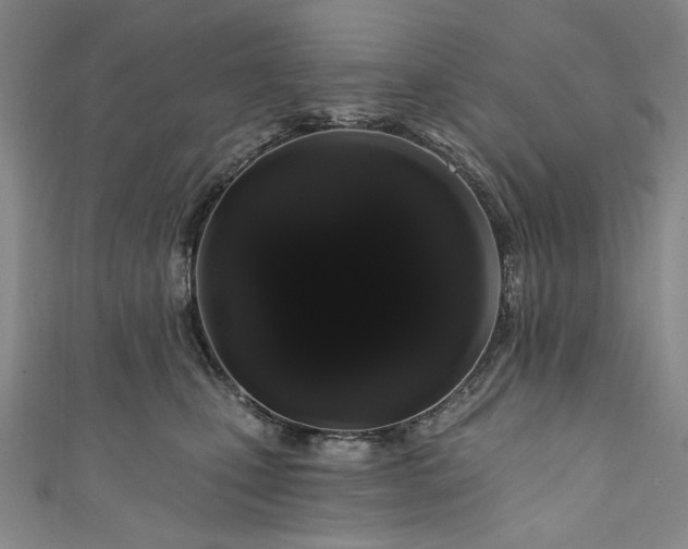 X0000111460471200907271255