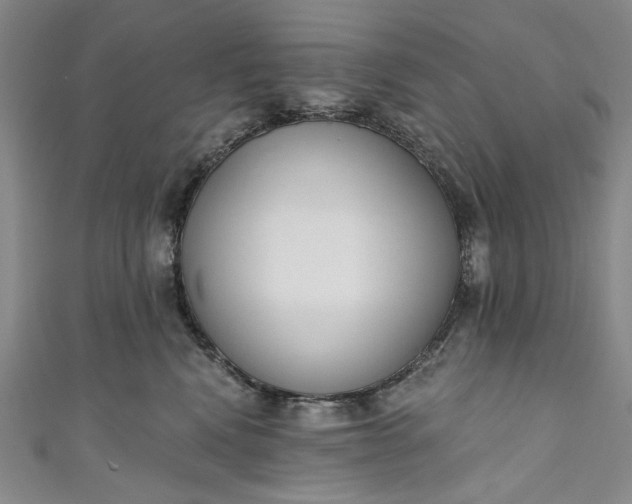 X0000111460472200907271255