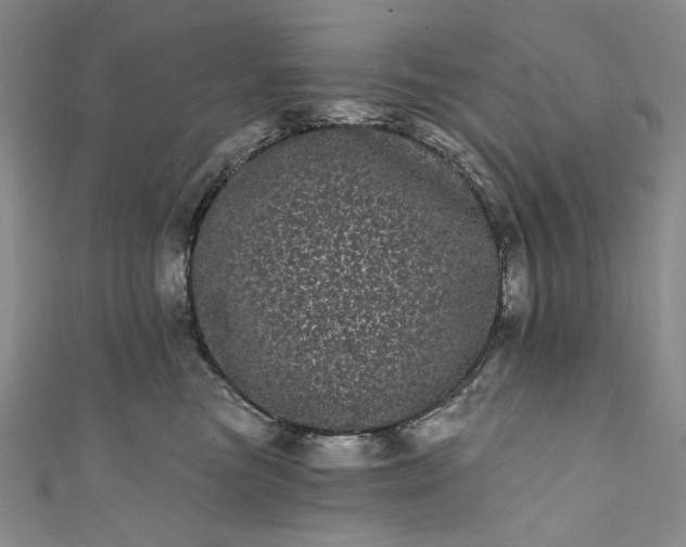 X0000111460473200907271255