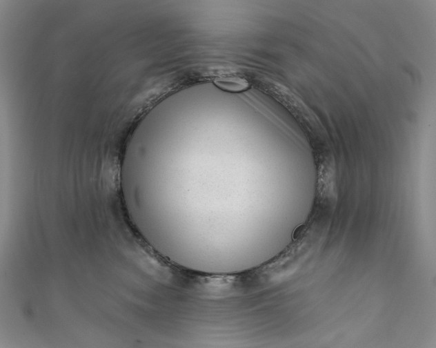 X0000111460474200907271255