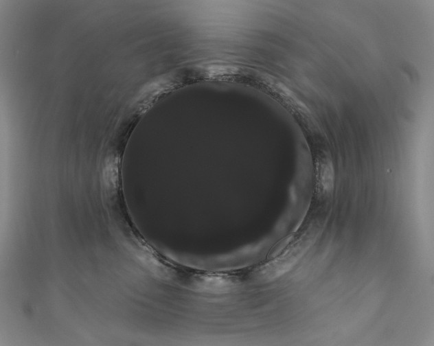 X0000111460475200907271255