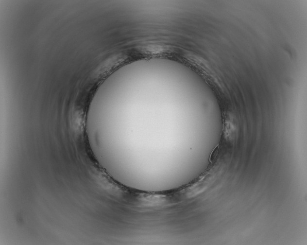 X0000111460476200907271255