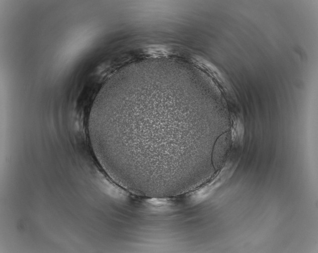 X0000111460477200907271255