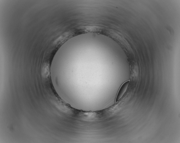 X0000111460478200907271255