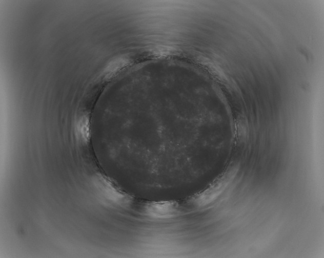 X0000111460479200907271255