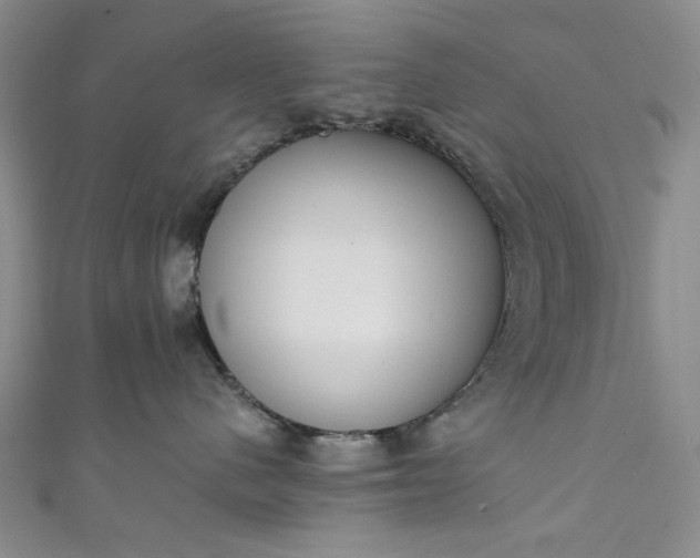 X0000111460480200907271255