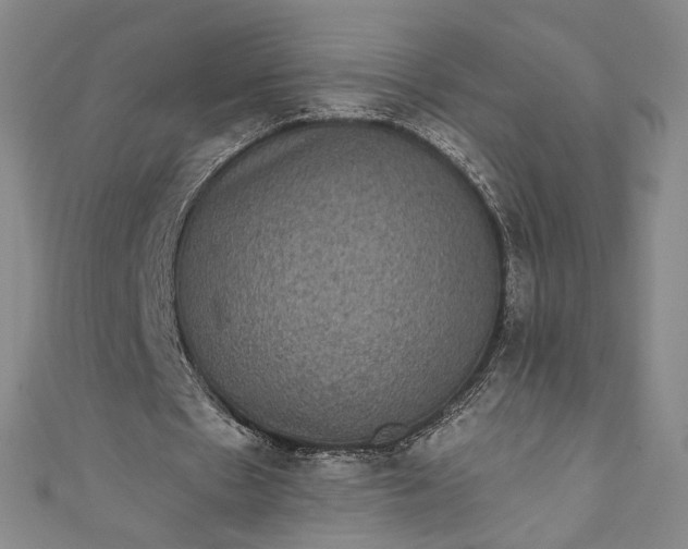 X0000111460481200907271254